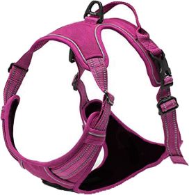 Venture Paw Harness (Color: Wild Raspberry, size: Large)