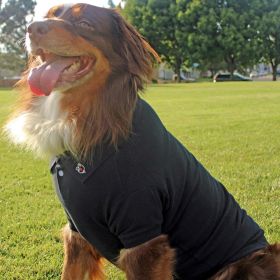 Polo Dog Shirt with Embroidered Collar (Color: Black, size: X-Small)