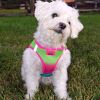 Polka Dot Choke‑Free Dog Harness – Step‑In Style
