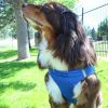 Polka Dot Choke‑Free Dog Harness – Step‑In Style