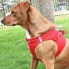 Polka Dot Choke‑Free Dog Harness – Step‑In Style