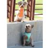 Polka Dot Choke‑Free Dog Harness – Step‑In Style