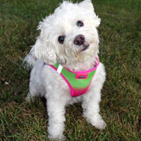 Polka Dot Choke‑Free Dog Harness – Step‑In Style (Color: Cotton Candy, size: M)