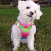 Polka Dot Choke‑Free Dog Harness – Step‑In Style