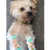 Non‑Skid Dog Socks for Slippery Floors