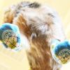 Non‑Skid Dog Socks for Slippery Floors