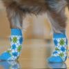 Non‑Skid Dog Socks for Slippery Floors