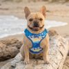 Wrap and Snap Choke Free Dog Harness